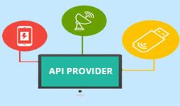 api provider